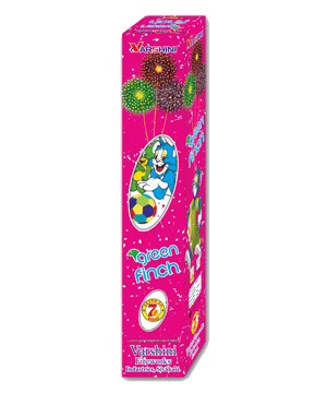 Varshini Fireworks