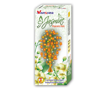 Varshini Fireworks